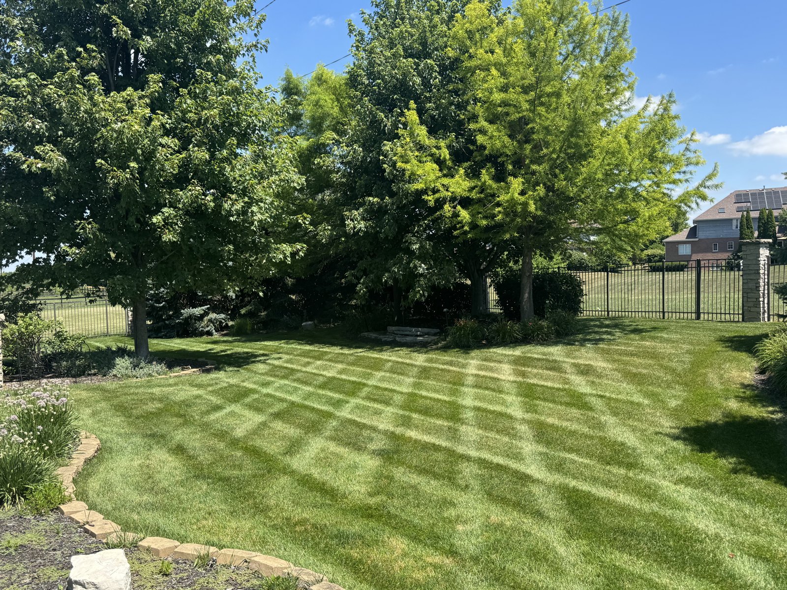 Freshly mowed lawn by N&M Landscaping