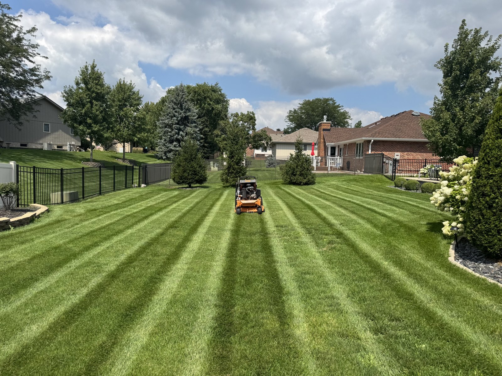 Crisp mowing lines on a maintained lawn