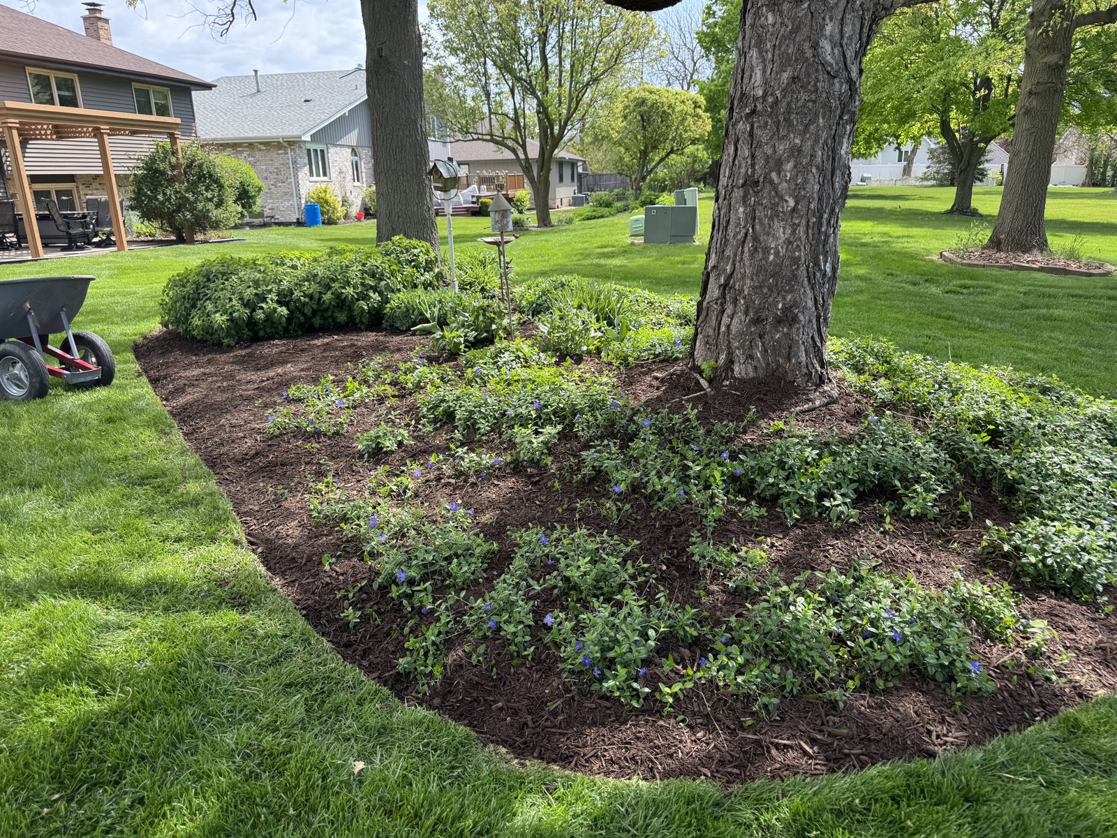 Freshly installed mulch bed