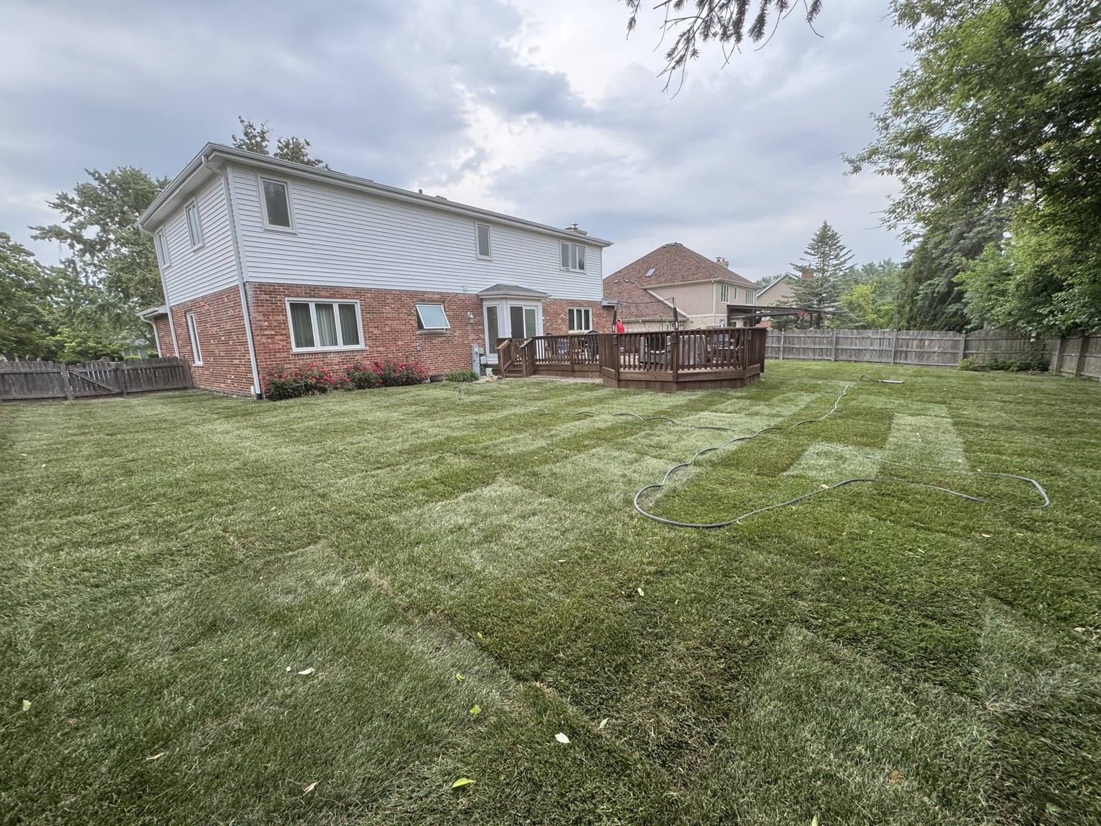 Freshly installed sod lawn